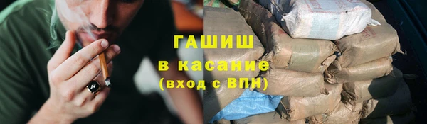 сатива Арсеньев