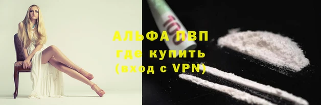 сатива Арсеньев