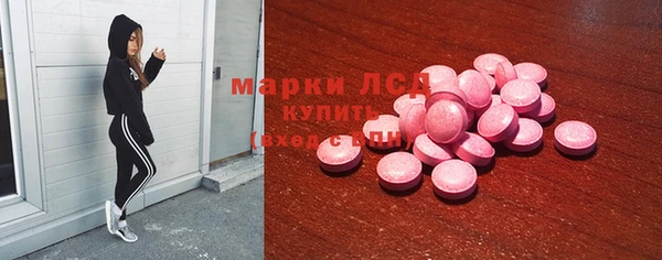 сатива Арсеньев