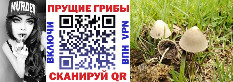 Псилоцибиновые грибы Magic Shrooms  Нязепетровск 